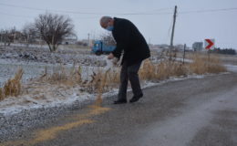 ÇUMRA BELEDİYESİ SOKAK HAYVANLARINI UNUTMUYOR