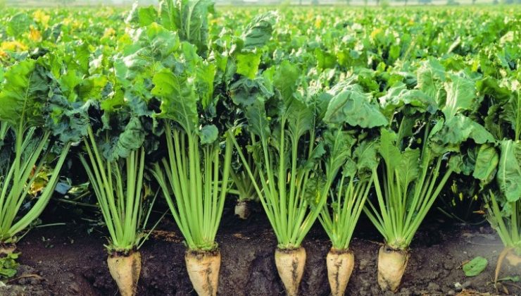 ÇUMRA ANADOLU LİSESİ‘’NİMETİN DEĞERİ’’ KONULU ONLİNE KONFERANS VERDİ