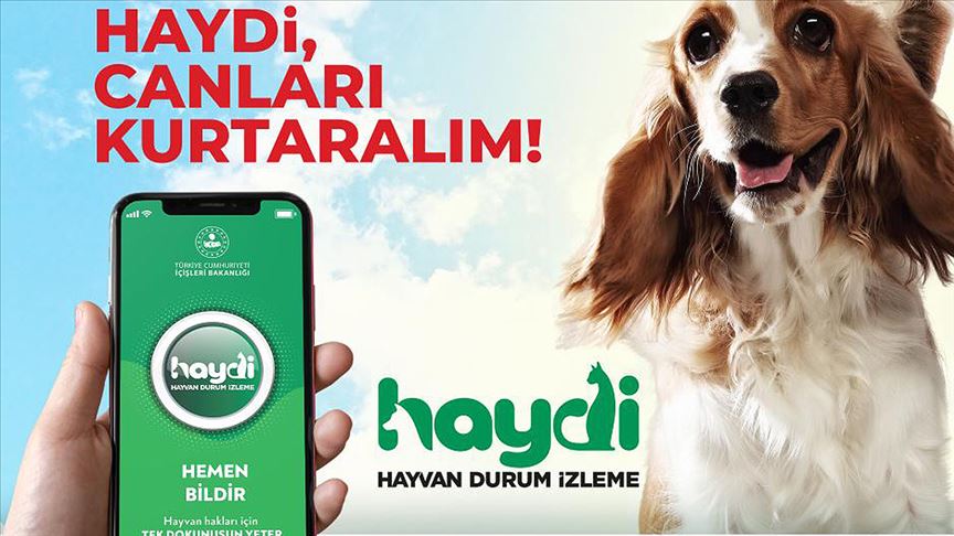 “HAYDİ” UYGULAMASI  İLE CAN DOSTLARI GÜVENDE