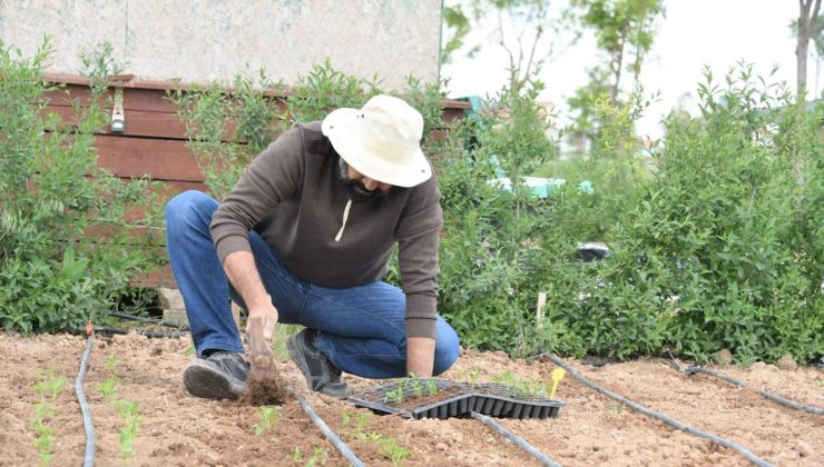 KARATAY HOBİ BAHÇELERİNİN SAKİNLERİ EKİM SEZONUNU AÇTI 1 KARATAY HOBİ BAHÇELERİNİN SAKİNLERİ EKİM SEZONUNU AÇTI