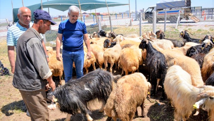 MERAM BELEDİYESİ KURBAN BAYRAMINA HAZIR