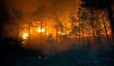Konya’da ormanlık alanda çıkan yangın söndürüldü