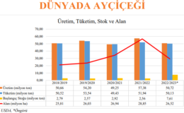BOŞ YER BIRAKMADIK HER YERİ EKTİK  AMA AYÇİÇEK FİYATINI HALA BİLMİYORUZ !