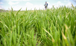 ÇİFTÇİ MART VE NİSAN YAĞIŞLARINDAN MEMNUN