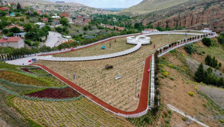 MERAM LAVANTA BAHÇESİ ZİYARETÇİLERİNİ AĞIRLAMAK İÇİN GÜN SAYIYOR