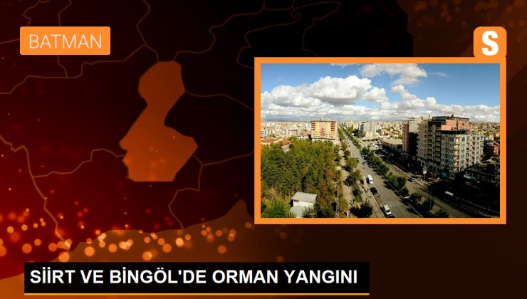 Siirt ve Bingöl’de Orman Yangını