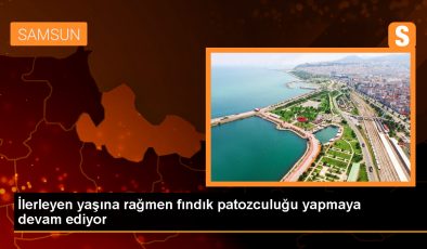 79 yaşındaki İbrahim Yıldız, fındık patozculuğu yaparak gelir sağlıyor