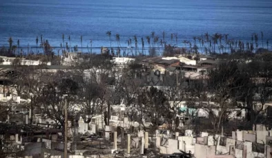 ABD’nin Hawaii eyaletindeki orman yangınlarında ölü sayısı 111’e çıktı