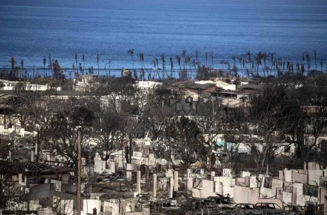 ABD'nin Hawaii eyaletindeki orman yangınlarında ölü sayısı 111'e çıktı 1 ABD’nin Hawaii eyaletindeki orman yangınlarında ölü sayısı 111’e çıktı