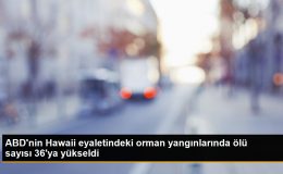 ABD’nin Maui Adası’ndaki Orman Yangınlarında Ölü Sayısı 36’ya Yükseldi