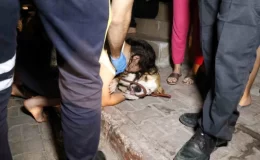 Adana’da Apartman Yangınında Mahsur Kalanlar Kurtarıldı