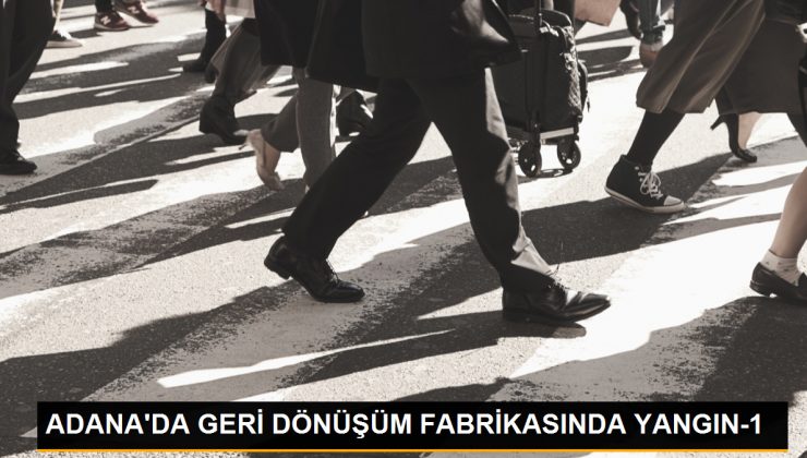 Adana’da Geri Dönüşüm Fabrikasında Yangın Çıktı