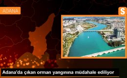 Adana’da çıkan orman yangınına müdahale ediliyor