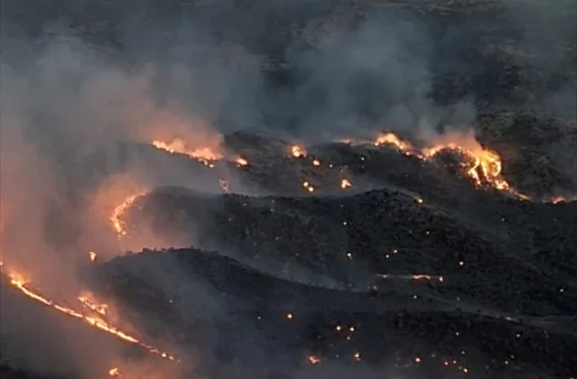 Adıyaman’ın Gerger ilçesinde çıkan orman yangını kontrol altına alındı