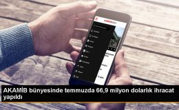 Akdeniz Mobilya, Kağıt ve Orman Ürünleri İhracatı Temmuzda 66 Milyon Doları Aştı