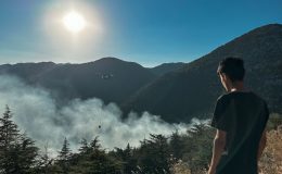 Akseki’de çıkan orman yangınında 10 dönüm alan zarar gördü