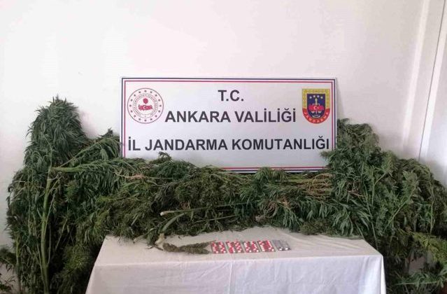 Ankara Sincan’da Hobi Bahçelerinde Uyuşturucu Operasyonu