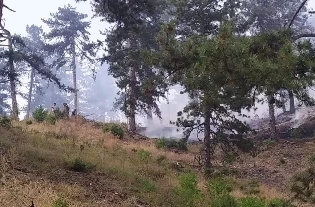 Ankara’nın Nallıhan ilçesindeki orman yangını kontrol altına alındı