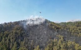 Antalya-Akseki Orman Yangını Kontrol Altına Alındı