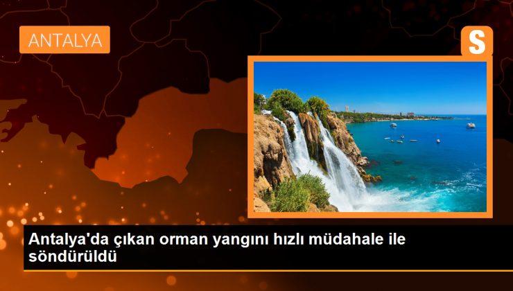 Antalya’da çıkan orman yangını hızlı müdahale ile söndürüldü