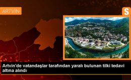 Artvin’de yaralı tilki tedavi altına alındı