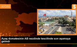 Ayaş Domatesi AB’de Tescil İçin Son Aşamaya Gelindi