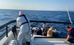 Ayvalık açıklarında 19 düzensiz göçmen kurtarıldı