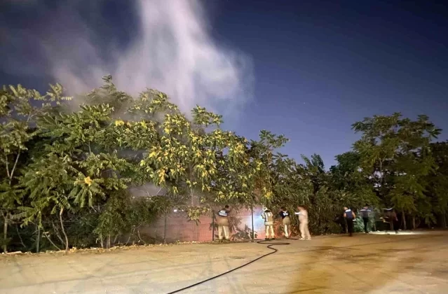 Bakırköy Veli Efendi Hipodromu’nda Yangın Çıktı