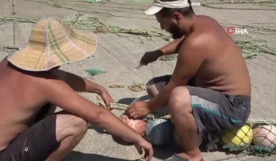 Balık av sezonuna hazırlıklar tamamlandı