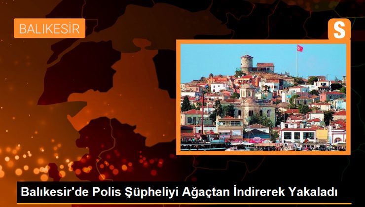 Balıkesir’de Polis Şüpheliyi Yabani Ceviz Ağacından İndirerek Yakaladı