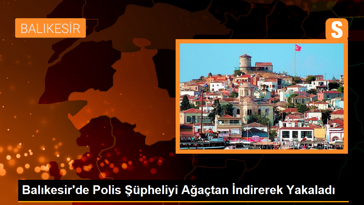 Balıkesir'de Polis Şüpheliyi Yabani Ceviz Ağacından İndirerek Yakaladı
