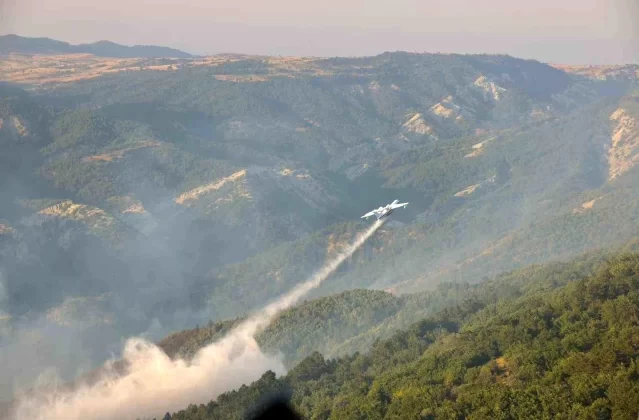 Bilecik’te Kontrol Altına Alınamayan Orman Yangını