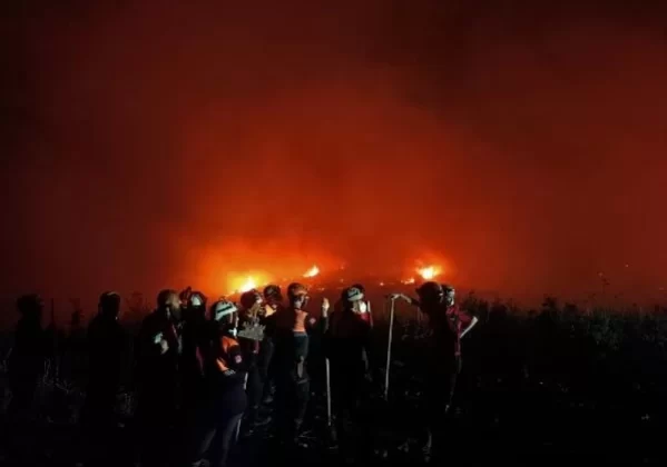 Bilecik’teki Orman Yangını Kontrol Altına Alındı, Yenişehir’de Yeniden Başladı