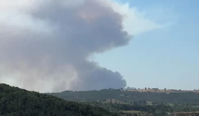 Bilecik’teki Orman Yangını Kontrol Altına Alınmaya Çalışılıyor