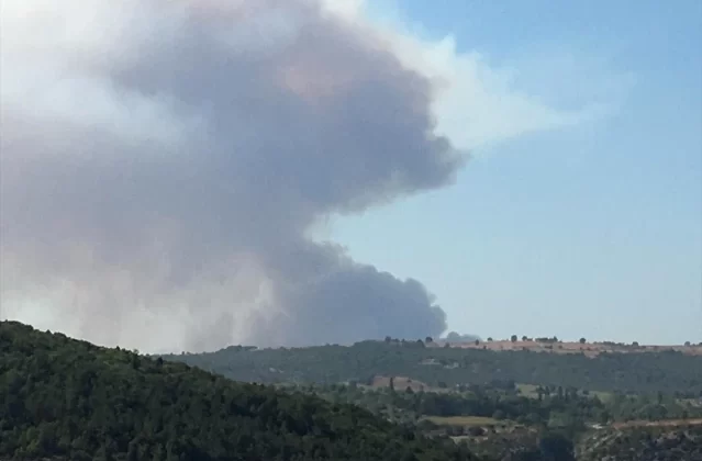 Bilecik'teki Orman Yangını Kontrol Altına Alınmaya Çalışılıyor 1 Bilecik’teki Orman Yangını Kontrol Altına Alınmaya Çalışılıyor