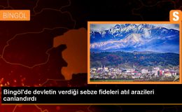 Bingöl’de atıl arazilerde yüksek verim elde ediliyor