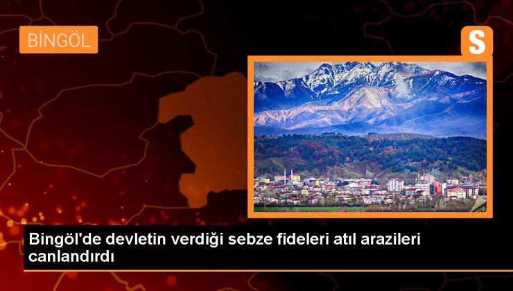 Bingöl’de atıl arazilerde yüksek verim elde ediliyor