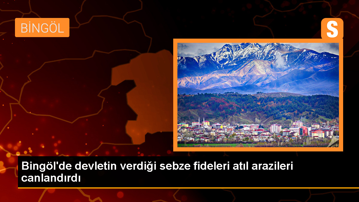 Bingöl'de atıl arazilerde yüksek verim elde ediliyor