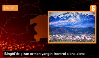 Bingöl’de çıkan orman yangını kontrol altına alındı