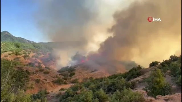 Bingöl’deki orman yangınına müdahale sürüyor