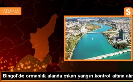 Bingöl’ün Genç ilçesinde çıkan orman yangını kontrol altına alındı