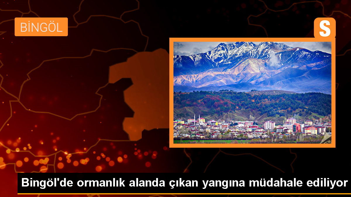 Bingöl'ün Genç ilçesinde ormanlık alanda çıkan yangına müdahale ediliyor