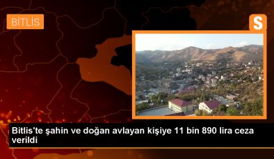 Bitlis’te Şahin ve Doğan Avlayan Kişiye İdari Para Cezası