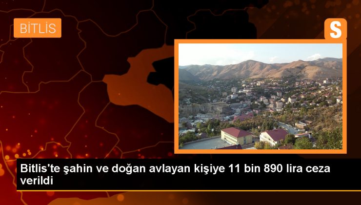 Bitlis'te Şahin ve Doğan Avlayan Kişiye İdari Para Cezası 1 Bitlis’te Şahin ve Doğan Avlayan Kişiye İdari Para Cezası