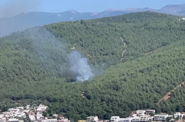 Bodrum’da Orman Yangını Kontrol Altına Alındı
