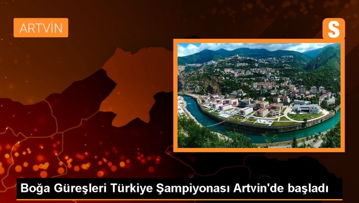 Boğa Güreşleri Türkiye Şampiyonası Artvin’de Başladı