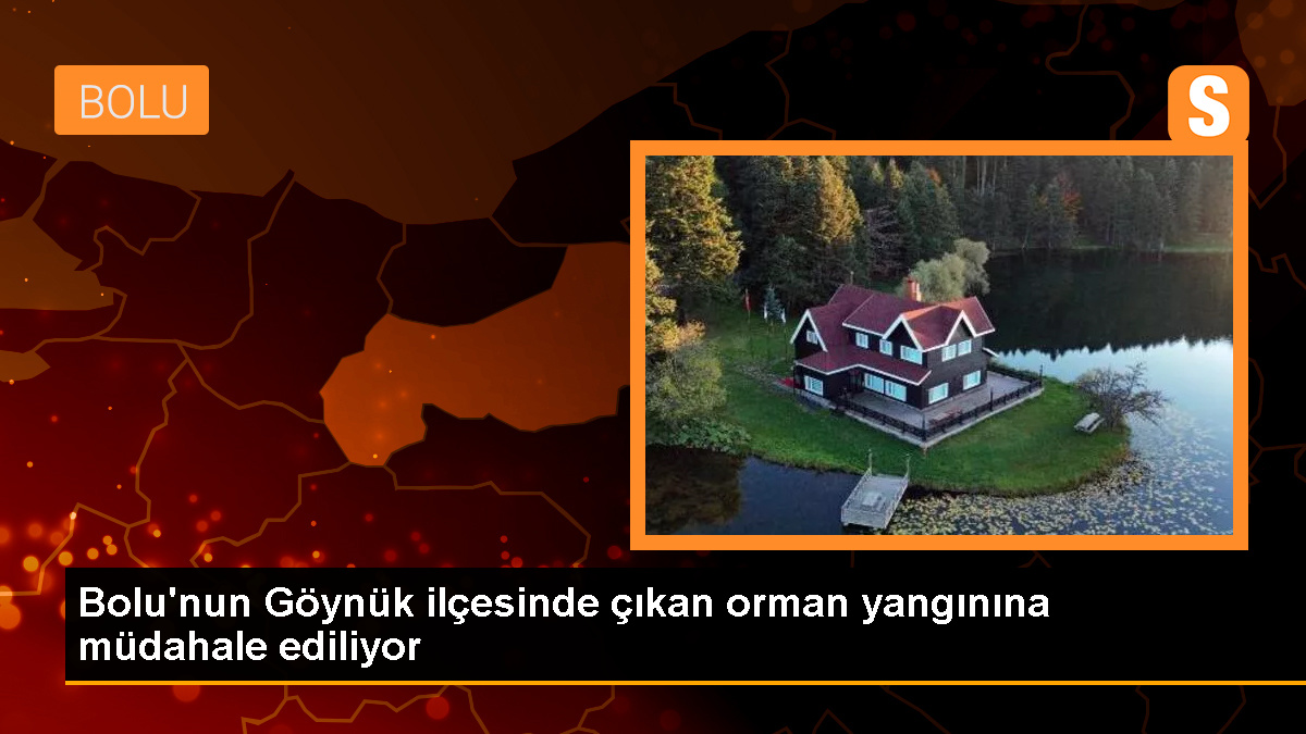 Bolu Göynük'te Orman Yangını - Son Dakika