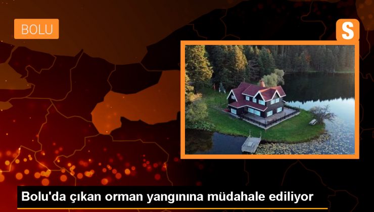Bolu Mudurnu’da Orman Yangınına Müdahale Ediliyor