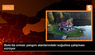 Bolu’da çıkan orman yangınlarında soğutma çalışmaları devam ediyor