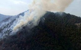 Bolu’da iki ayrı bölgede orman yangını çıktı